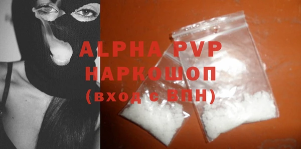 СК Белокуриха
