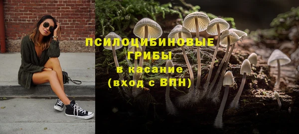 хмурый Белоозёрский