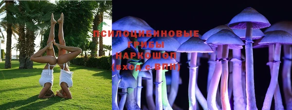 СК Беломорск